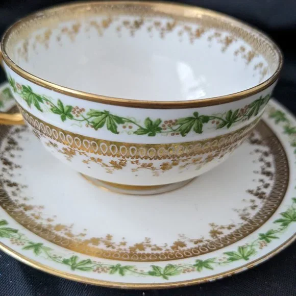 RARE Beautiful Antique J Pouyat Limoges Translucent Porcelain Tea Cup And Saucer